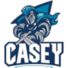 凯西骑士女篮